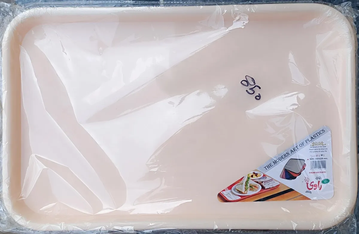 Punjab Ravi Plastic Medium Cafeteria & Fast Food Tray